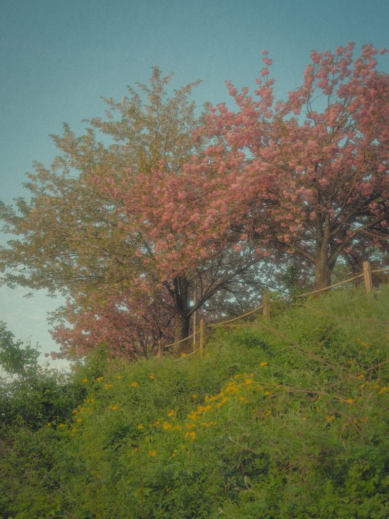 260421182051